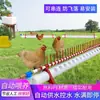 Novo Bebedouro Automático Bebedouro para Frango Comedouro/Bebedouro para Patos Gansos Equipamento de Avicultura Bebedouro Plasson para Galinhas