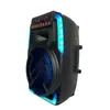 Alto-falante Sem Fio de 15 polegadas 30W Mais Vendido Reprodução Bluetooth com Microfone com Fio Subwoofer Personalização OEM