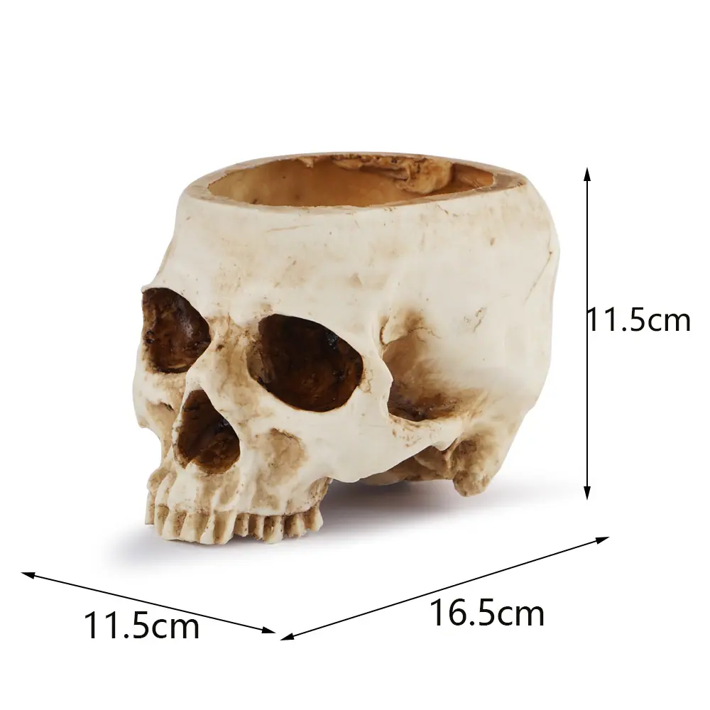 骷髅头-131 (12)