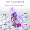 Venta al por mayor del fabricante Jielexin Lavanda Diario Juego de Cuatro Piezas Detergente para Ropa Polvo para Lavar Paquete del Mercado Ambulante de la Calle Jianghu