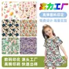 Procesamiento de Impresión Digital de Tejido de Poliéster de Alta Elasticidad 3D, Procesamiento de Impresión y Estampado de Tejido para Ropa de Chaqueta Informal