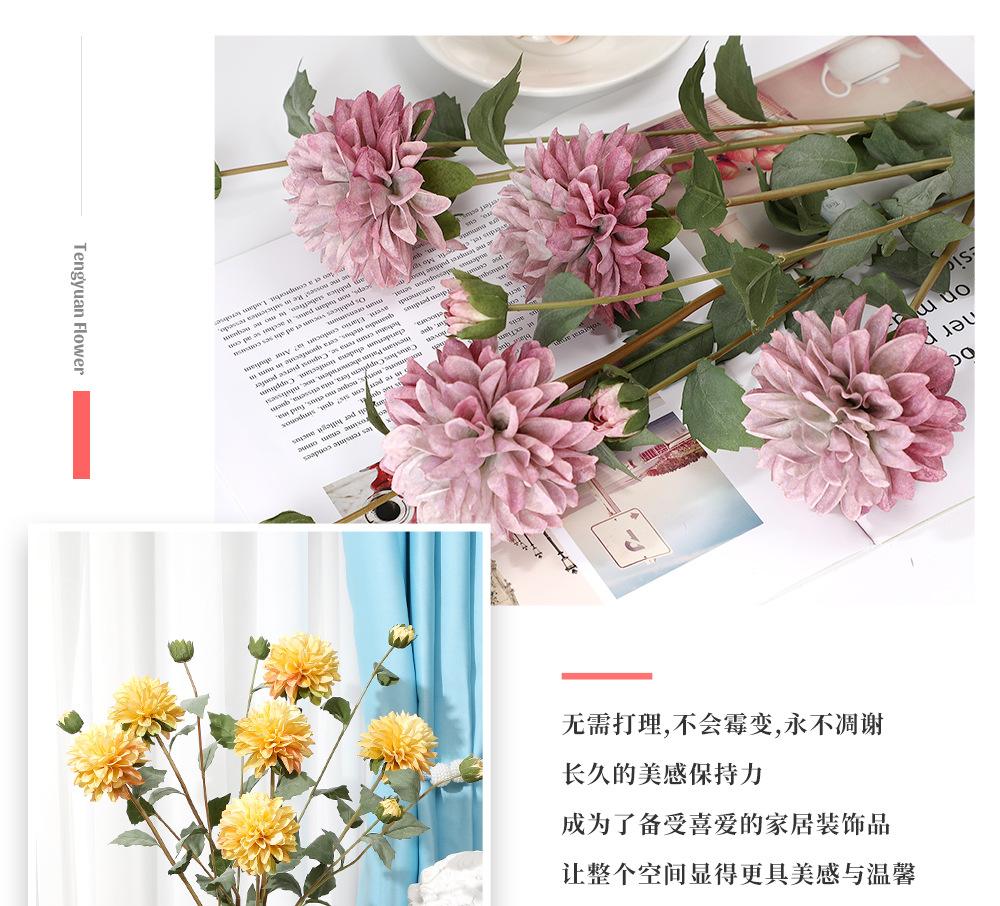 2头迷你大丽花_06.jpg