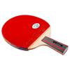 Raquete de Tênis de Mesa Galaxy 01B 02B 03B 04D 06B Borracha Dupla Acabada Raquete de Treino Raquete Reta/Horizontal Raquete Única