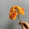 Cola macia arroz fruta flor artificial fábrica hortênsia flor falsa sensação suculenta planta flor macia arte cola macia couve-flor