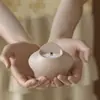 Tarro de Almacenamiento de Yeso Estilo Minimalista Amapola Molde de Resina Velero de Estrella de Cinco Puntas Grasa DIY Molde de Silicona