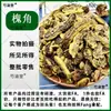 Material Medicinal Huaijiao Chá Huaijiao 500g Feijões Huaijiao Feijões Huai Autêntico a Granel Chá de Feijão Huai Huai Shi Huai Zi Atacado