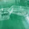 Caja de Empaque en Ampolla para Cerebro de Cerdo Mascota, Caja de Empaque en Ampolla para Mataderos y Fábricas de Alimentos, Caja para Alimentos Frescos, Caja para Frutas, Grado Alimentario