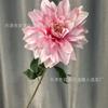 Single Dahlia 2 Wedding Auditorium Decoração Shooting Flowers Home Living Room Soft Clothes Simulação Fake Flowers Photo Studio Props Flores