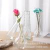 Jarrón de Vidrio de Lujo Accesible Escandinavo Jarrón de Flores Hidropónico Simple Mesa de Comedor Hogar Pequeños Adornos Decorativos de Flores Secas Frescas