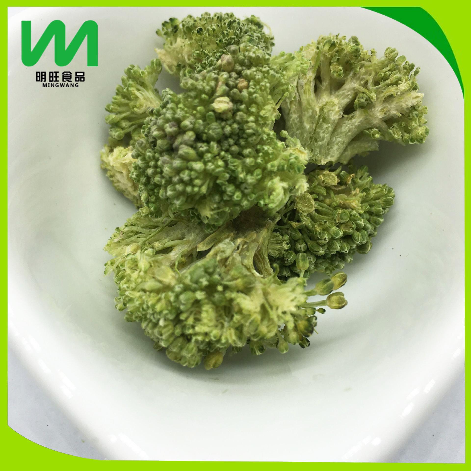 9245677682_2088112282