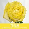 Tinta Spray para Flores, Corante Azul Gelo Triturado Ameixa, Flor de Sabão, Flor Seca, Spray de Arte Floral, Suprimentos para Floricultura Atacado