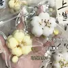 Juguete Squishy de Fruta con Cubitos de Hielo Muñeca Colgante para Niños Juguete para Aliviar el Estrés Rebote Lento Artículo Popular de Celebridad de Internet