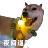 Colgante Luminoso LED para Perro Mascota, Luz Nocturna, Luz Anti-Pérdida, Placa de Identificación para Perro, Cascabel para Gato, Luz para Paseo Nocturno de Mascotas