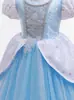 Vestido de Princesa Cenicienta Cenicienta para Niñas Frozen Elsa Malla Abullonada Bordado Vestido para el Día del Niño Infantil