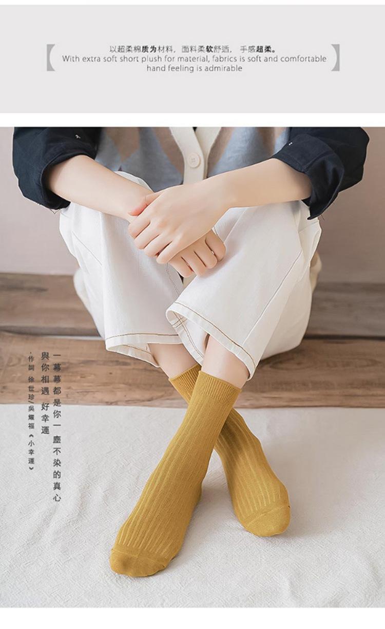 阿里_03.jpg