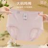 Roupa Íntima Feminina Plus Size 2025 Novo Estilo Pequeno Design Fresco Cintura Média Algodão Puro Respirável 10A Virilha Antibacteriana Calcinhas