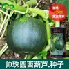 Shuai Zhuyuan Semillas de Calabacín Huerto Huerta Vegetal Verde Oscuro Crujiente Tierna Fragante Semillas de Calabacín Semillas de Verduras