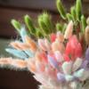 Pequeño ramo de flores de celebridades de Internet para el hogar, sala de estar, decoración nórdica, adornos, ramas secas, arreglos florales, cola de conejo, hierba, flores secas.