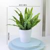 Conjunto de flores artificiais combinação decoração de mesa sala de casamento sala modelo decoração planta verde flor falsa adereços de fotografia
