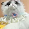Los Baberos para Gato de la Serie de Bodas con Flores Tridimensionales Son Adorables y Presentan un Diseño con Volantes en Colores Contrastantes para Combinar con Escenas de Boda