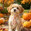 Lazos de Acción de Gracias de Otoño Transfronterizos para Mascotas, Pajaritas, Lazos para Gatos y Perros, Accesorios, Listos para Etiquetado y Entrega