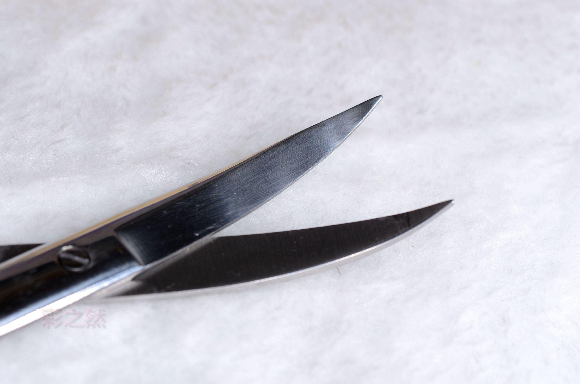 DSC_0290_副本_副本