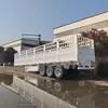 Reboque Semi-Reboque de Exportação 3 Eixos Caixa de Carga a Granel 50 Toneladas 70 Toneladas Transporte de Frutas e Vegetais Reboque com Grade Lateral Alta