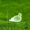 Paisaje de musgo en miniatura transfronterizo creativo pájaro paloma pequeño luminoso accesorios decorativos DIY mini adornos pequeños