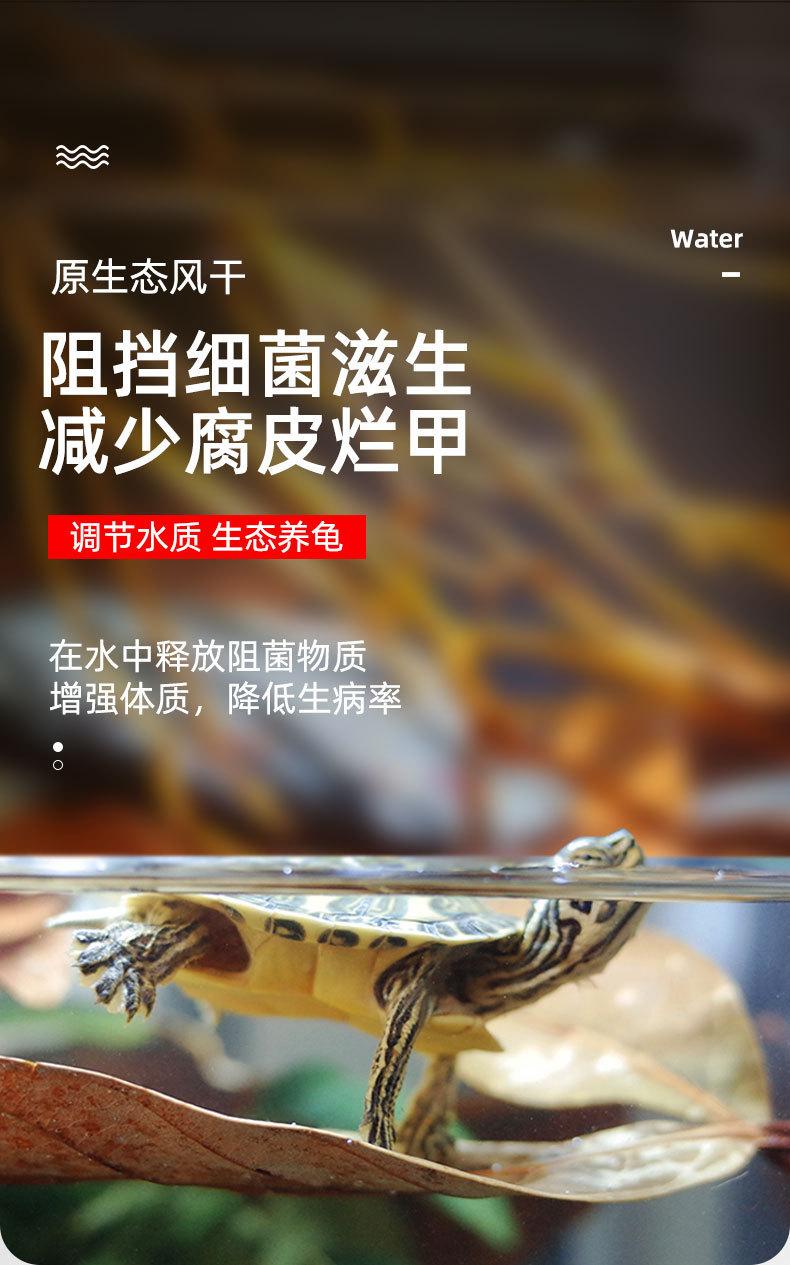 详情_01.jpg