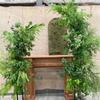 Explosiones La Ventana de Monet Simulación de Base Planta Verde Madera Anestesiada Hierba de Coral Hierba de Espárrago Bambú Panda Hierba Murra Guifei