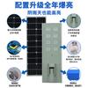 Iluminação pública solar transfronteiriça de alta potência, iluminação externa, luz automática escura, 6 metros, fabricantes de luz solar LED
