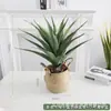 Simulação Planta Verde Bonsai Sisal Folha Grande Gladíolo Planta do Deserto Tropical Janela Paisagismo Decoração Planta Artificial Ponto