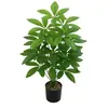 Plantas Verdes Artificiales, Árbol del Dinero, Hojas de la Fortuna, Flores Falsas para Sala de Estar, Hotel, Hogar, Restaurante, Plantas en Maceta Hojas de la Fortuna, Venta al por Mayor desde el Fabricante