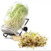 Frasco de germinación de acero inoxidable de boca ancha de 32 oz, soporte de pantalla de filtro de semillas para germinación, frasco tipo Mason