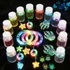 Polvo de Lentejuelas Luminosas con Brillo Transfronterizo 12 Colores Mezclados Polvo de Brillo Fluorescente Pegamento Flujo de Cáñamo DIY Lentejuelas Luminosas para Uñas
