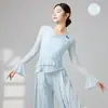 Disfraces de Danza Clásica Estilo Hada Cuello en V Malla de Mariposa Manga Larga Ropa de Práctica de Danza Moderna