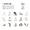 Pacote de Adesivos Cidade do Crepúsculo Série Ação Gato Diário de Gato Material DIY Adesivos Decorativos 30 Peças em 6 Designs