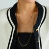 Collar Largo de Cadena de Hueso de Serpiente Europeo y Americano para Mujer, Sencillo Apilado Básico Cadena Desnuda Cadena para Suéter Acero Titanio Inoxidable Cadena para Suéter
