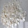 Bolsa de Material para Acessórios de Brincos, Colares, Grampos de Cabelo Artesanais DIY de Concha de Madrepérola Branca de Água Doce Borboleta