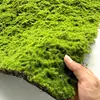 Grama de Musgo Sintético Paisagismo Interno Decoração Versátil Bonsai Micro Paisagem Pavimentação com Flocagem Musgo Artificial Parede de Plantas Verdes