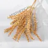 Plantas Artificiais Atacado, Feixes de Espigas de Trigo, Enfeites para Decoração de Casa, Flores Artificiais, Artigos para Casamento, Decoração de Luxo Leve