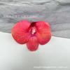Pinza para el pelo de una sola cabeza con simulación de Phalaenopsis 3D, estilo europeo, con forma de mariposa y flor, accesorios para el pelo, tocado DIY, pinza de pico de pato, pinza lateral