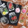 Marcapáginas de flores secas, película hecha a mano, bolsa de material de bricolaje, flores y plantas caseras de primavera, muestra en botella, regalo creativo para niños