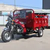 Triciclo Auto-Descarregável de Alta Resistência, Veículo Agrícola Motorizado para Carga, Veículo Doméstico Auto-Descarregável, Veículo Auto-Descarregável Movido a Combustível
