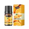 Máquina de aromaterapia transfronteriza aceite esencial soluble en agua 5 ml para humidificadores y difusores de aire fresco, directo de la fábrica fuente