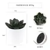 Más de 100 Tipos de Combinaciones de Plantas Suculentas Mini de Plástico Simuladas en Maceta, Mini Bonsáis Suculentos Más Vendidos Transfronterizos, Decoración para el Hogar, Adornos Creativos