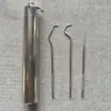Set Portátil de Cubo con Palillos y Hilo Dental de Acero Inoxidable 304, Set Portátil de Siete Piezas para Eliminar Manchas Dentales, Set de Cuidado Bucal, Palillo