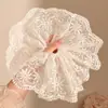 Goma de Pelo de Encaje Fresca para Mujeres, Nueva Cuerda para el Pelo de Lunares, Accesorio para el Cabello, Cola de Caballo, Moño