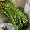 Alga Kelp Deshebrada Recién Salada para Ensalada Fría, Caja al por Mayor para Uso Comercial, Hilos Finos, Especialidad de Dalian para Sopa de Restaurante, Productos No Secos