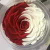 Rosa Eterna Gigante de 10-12 cm Rosa Preservada Flor Eterna Navidad Tanabata Día de San Valentín Regalo de Cumpleaños